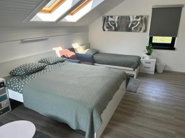 A&E Apartment Любляна Екстериор снимка